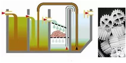 小型污水處理設(shè)置滴濾床