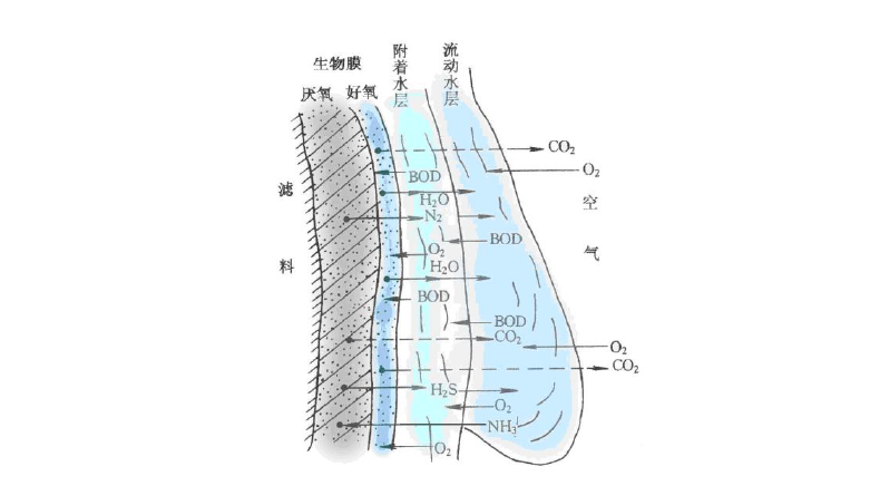 鄉(xiāng)鎮(zhèn)生活污水處理-生物膜處理法示意圖